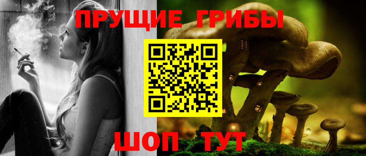 Галлюциногенные грибы прущие грибы  Вход с VPN  Вязники 